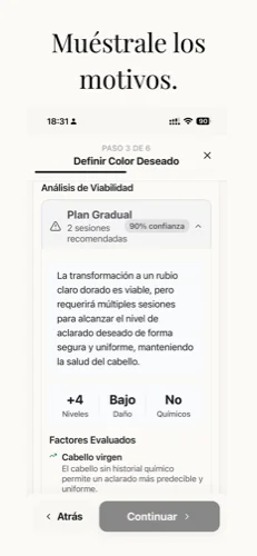 Análisis de viabilidad en Blendsor